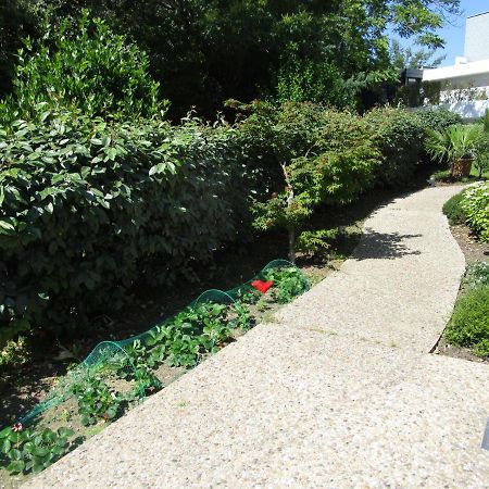 Chambre D'Hote, Royan Plage, Petit-Dejeuner Bio Екстер'єр фото